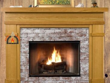 8-step guide for safely freeing a bird stuck in your fireplace."
